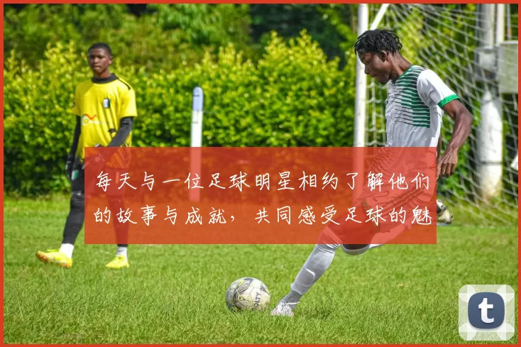 每天与一位足球明星相约了解他们的故事与成就，共同感受足球的魅力与激情