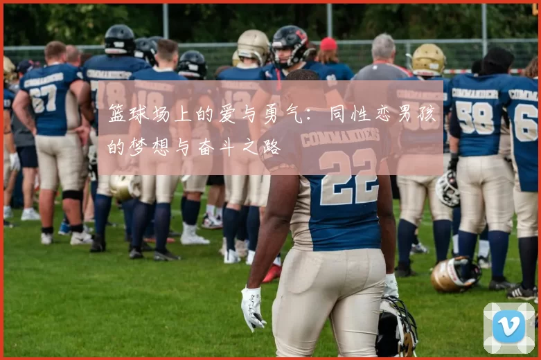 篮球场上的爱与勇气：同性恋男孩的梦想与奋斗之路