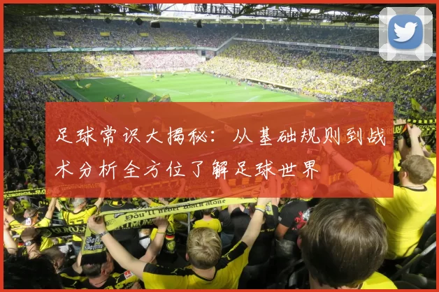 足球常识大揭秘：从基础规则到战术分析全方位了解足球世界